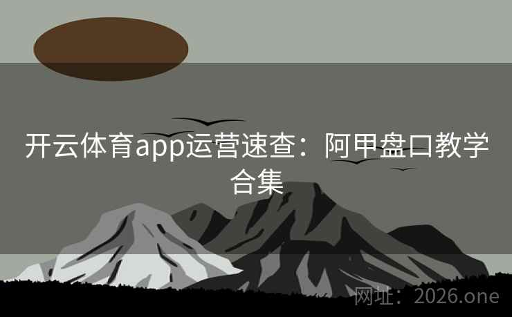 开云体育app运营速查：阿甲盘口教学合集