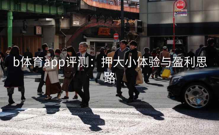 b体育app评测:押大小体验与盈利思路